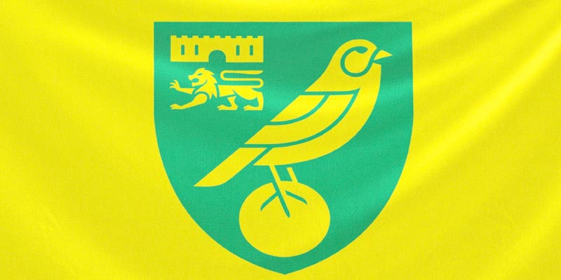 Norwich City FC: The Unstoppable Journey of a Proud Club