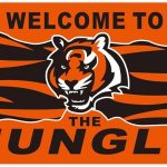 Cincinnati Bengals FC